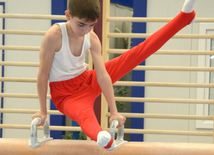 Bakıda kişi idman gimnastikası üzrə çoxnövçülükdə yarışlar başlayıb. Azərbaycan, 5 dekabr 2015